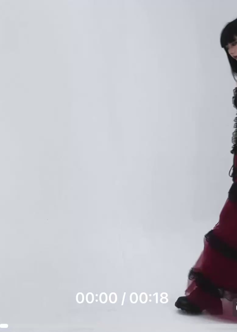 Gothic Lace Tiered Tulle Skirt / lg1354