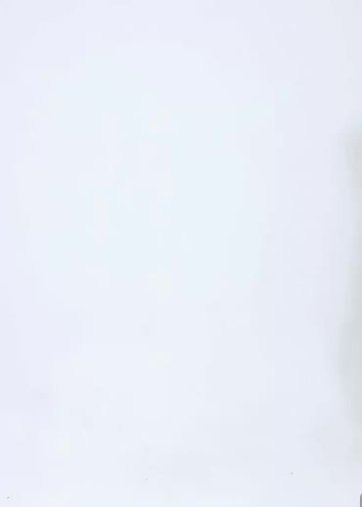 Layered Halter Neck Print Top / lg1357