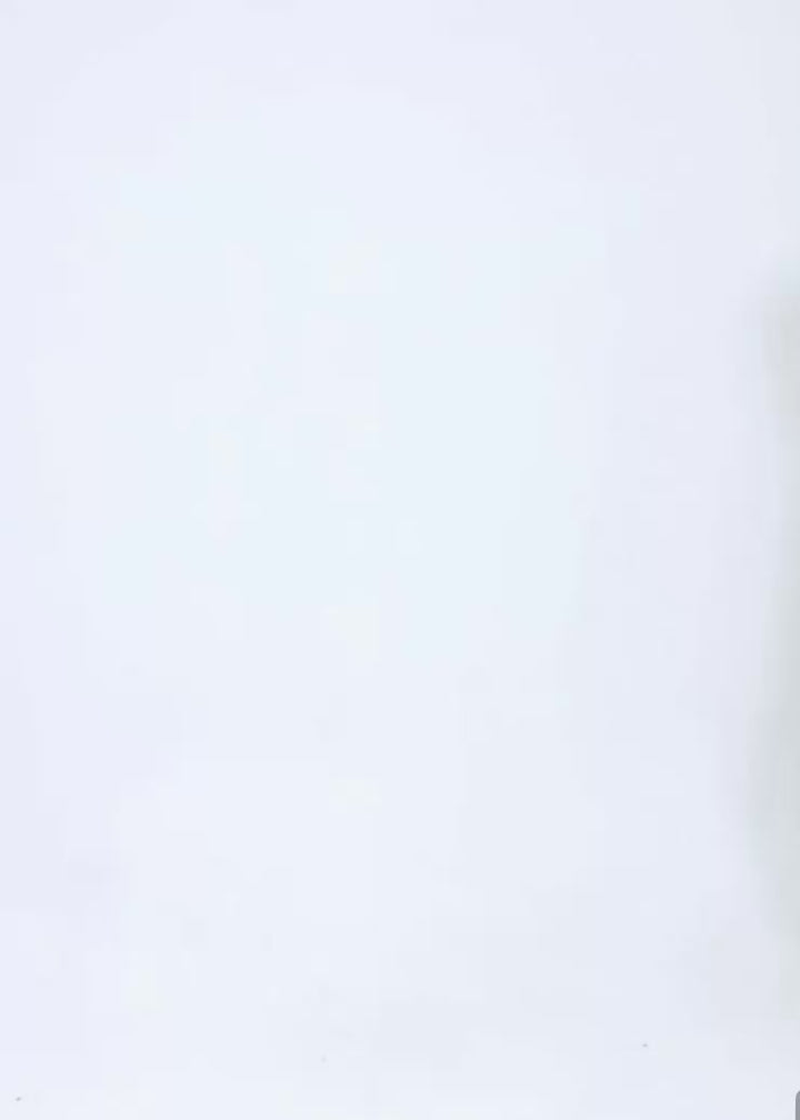 Layered Halter Neck Print Top / lg1357